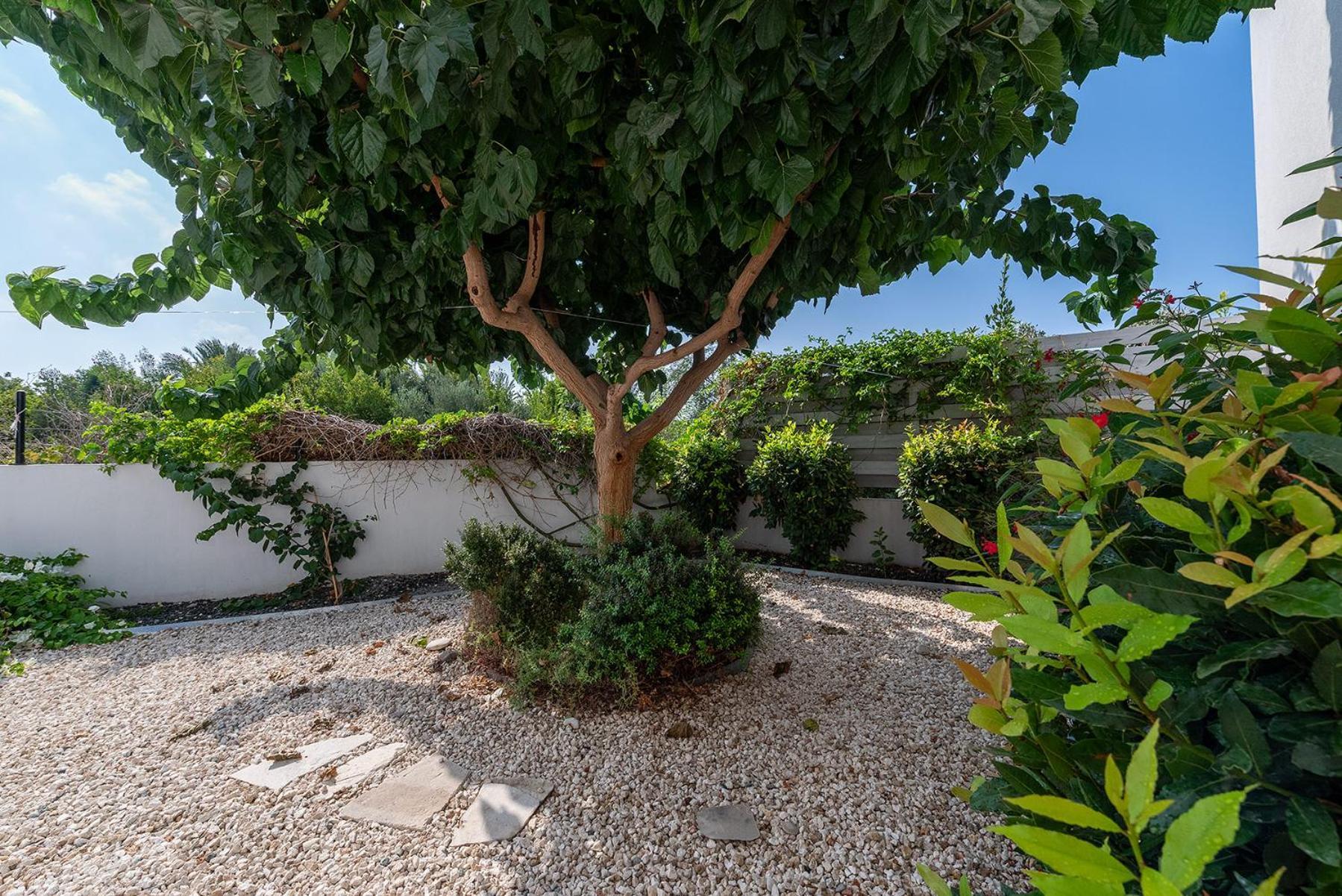 Blue Diamond Beach Villas Paphos Ngoại thất bức ảnh